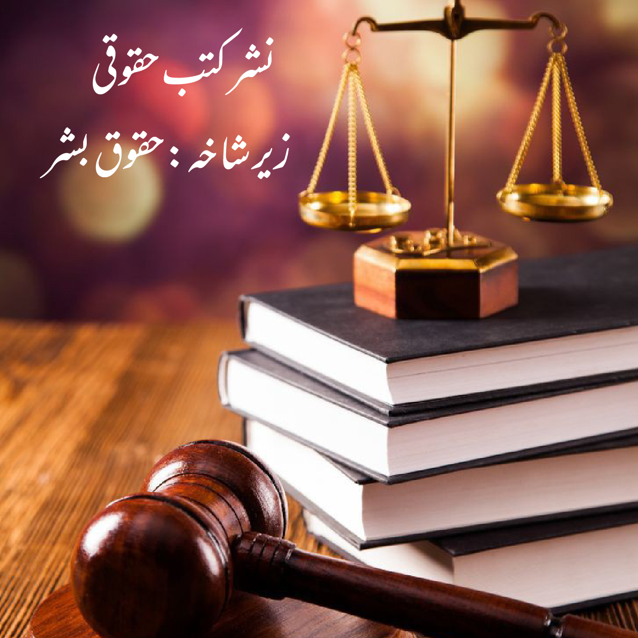 نشر کتب زیر شاخه حقوقی حقوق بشر نشر کتب زیر شاخه حقوقی حقوق بشر
